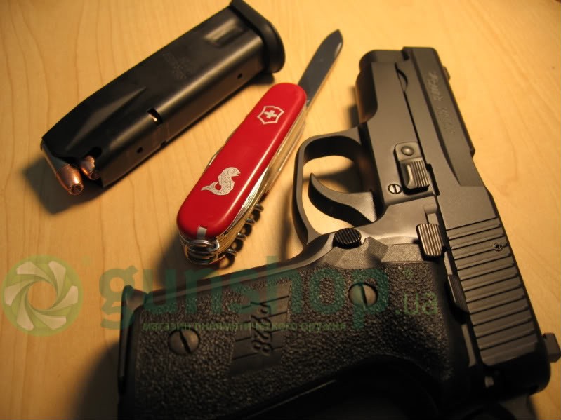 sig003.jpg