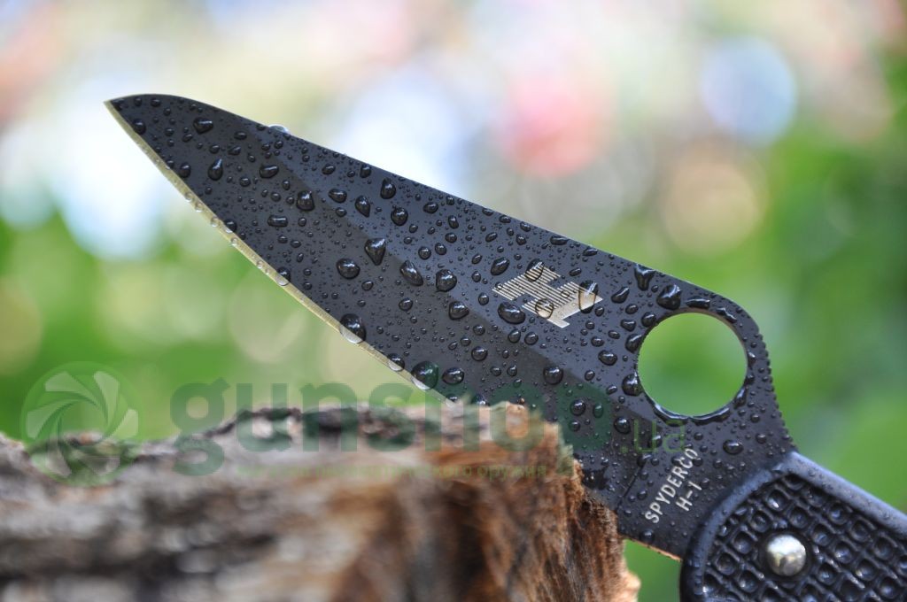 Нож Spyderco Pacific Salt black blade plain